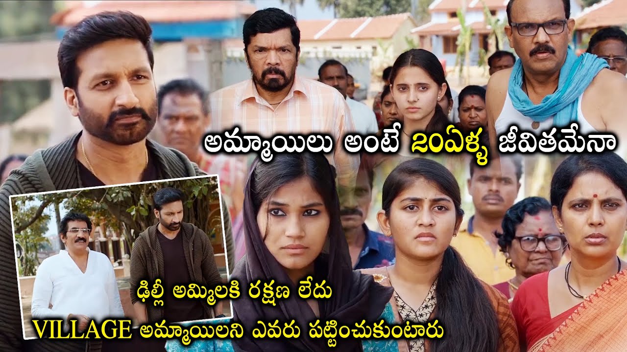 Seetimaarr Movie Gopichand Interesting Scenes || Latest Movie Scenes || Telugu Super Hit Movies