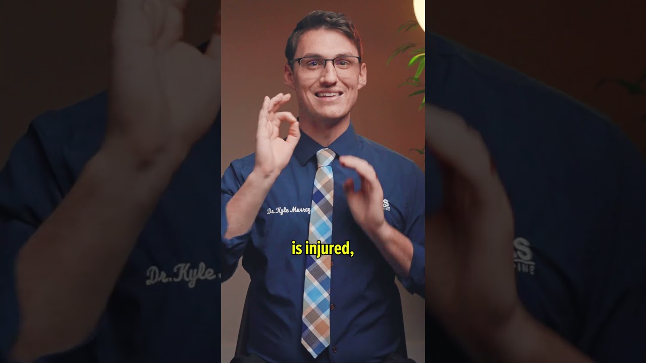 Is NUCCA Chiropractic Legit?