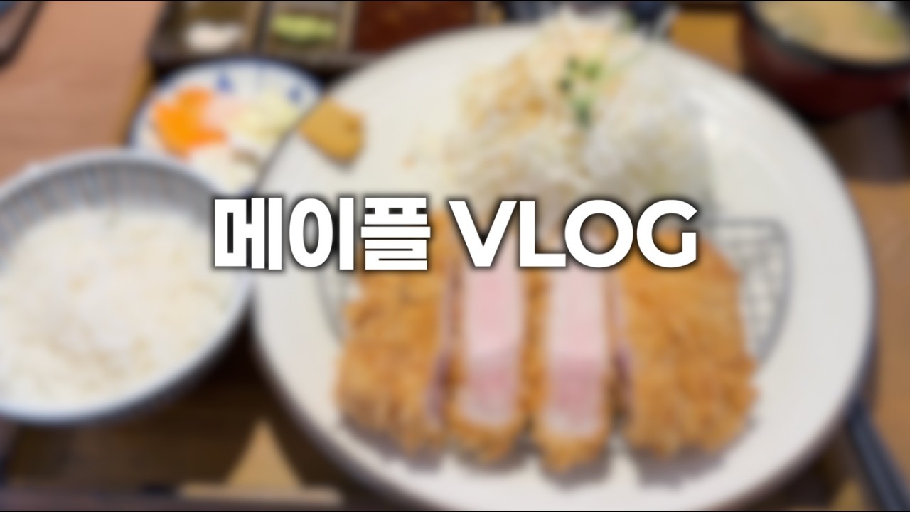 메이플 브이로그 - 바깥 세상 탐방기
