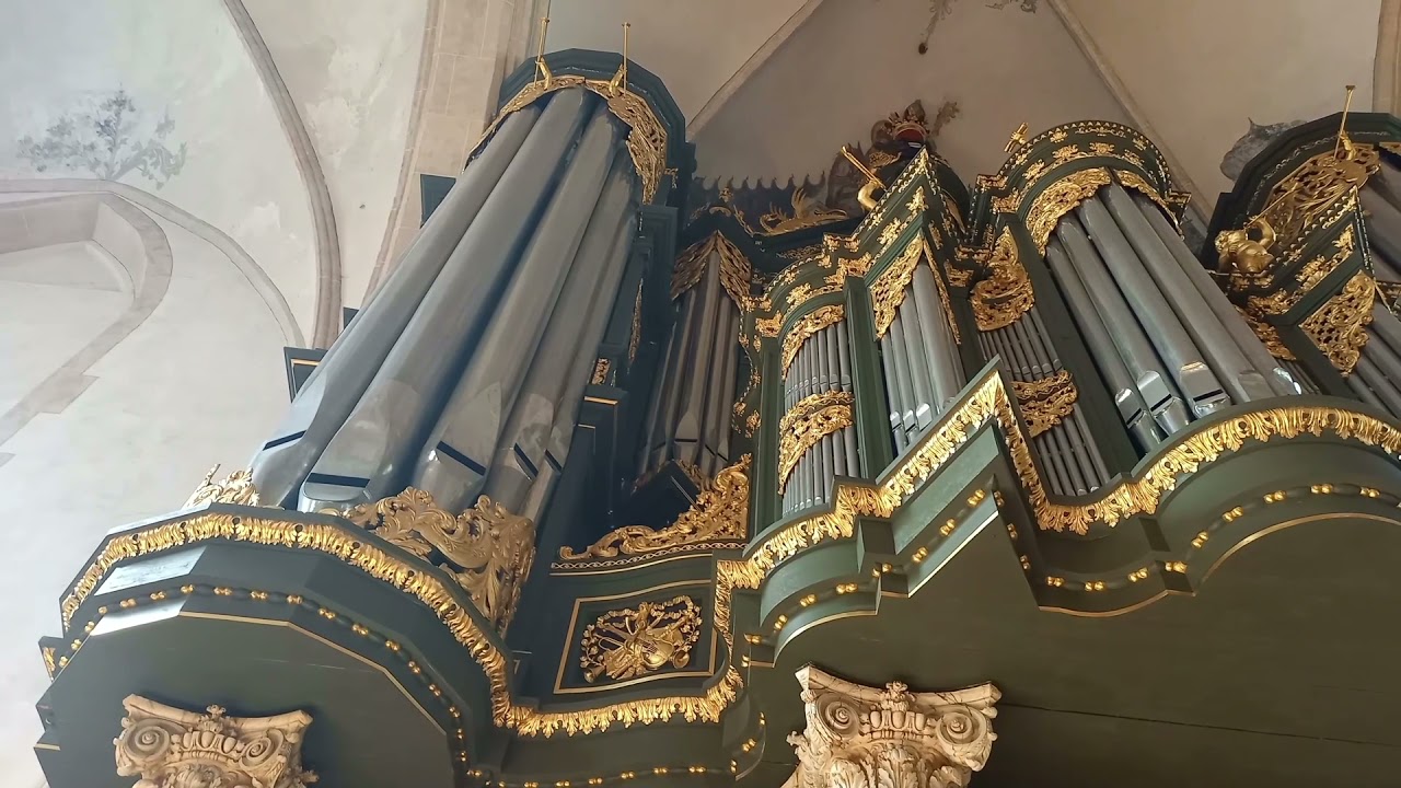 De Orpheus van Amsterdam: Sweelinck en zijn  leerlingen (3)