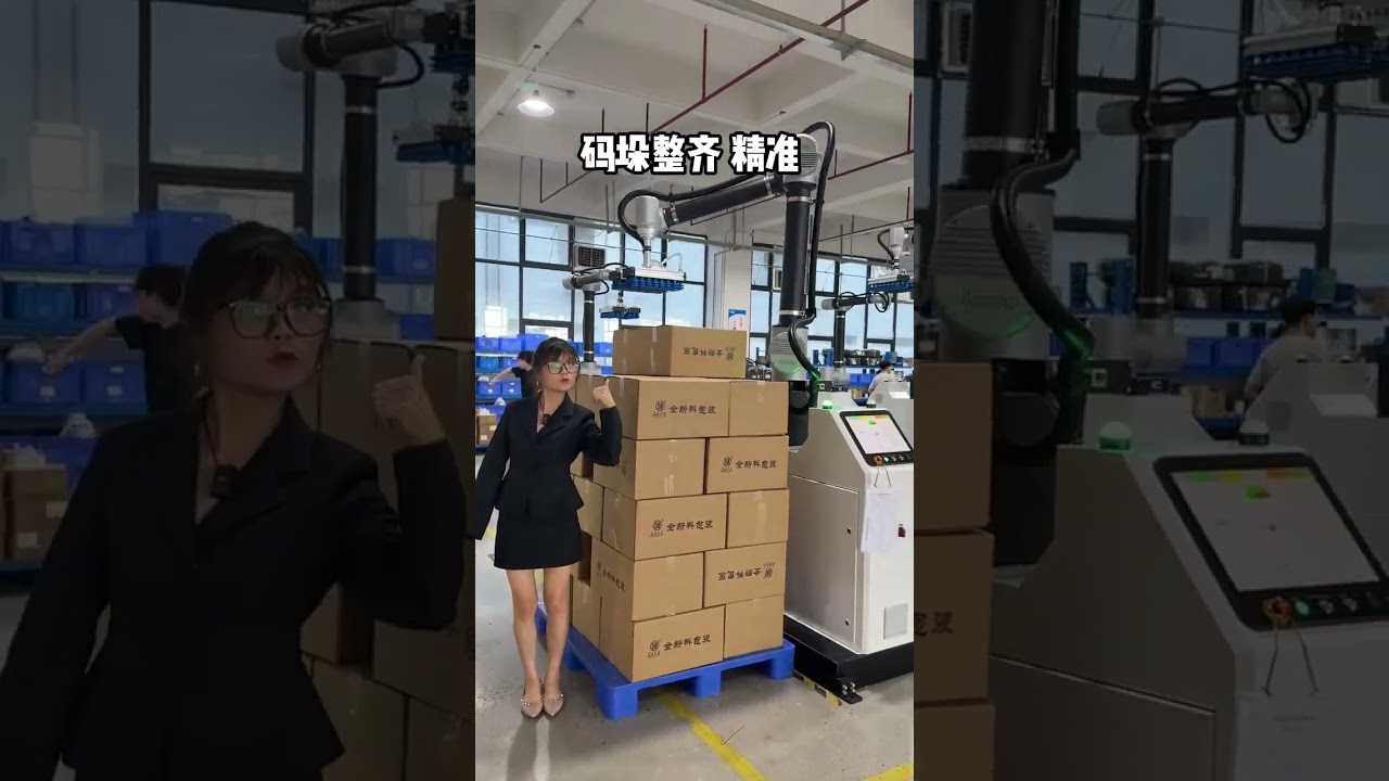 Factory direct! Collaborative palletizing robot! In stock, shipped instantl!Fully Automatic.