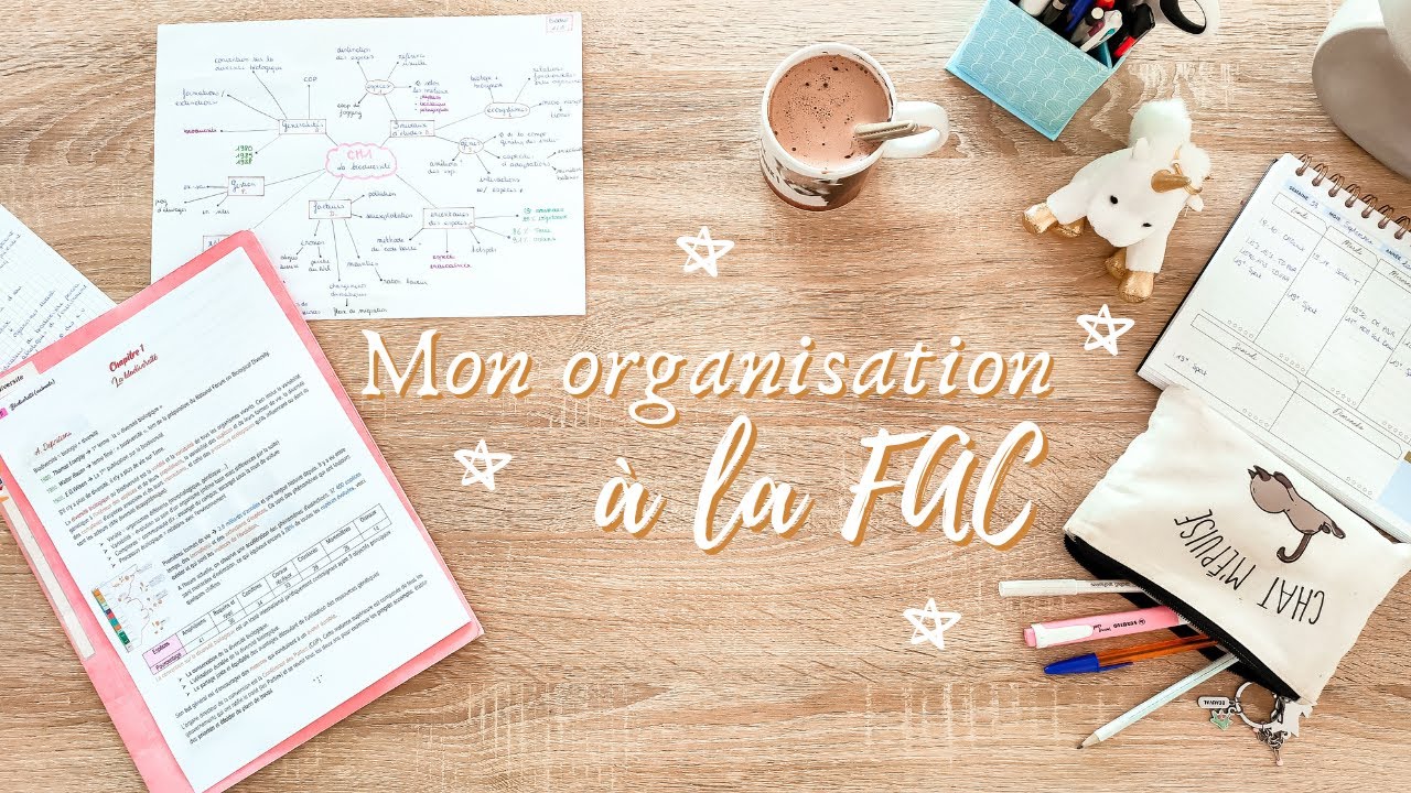 Mon organisation à la FAC | BACK TO SCHOOL ✯