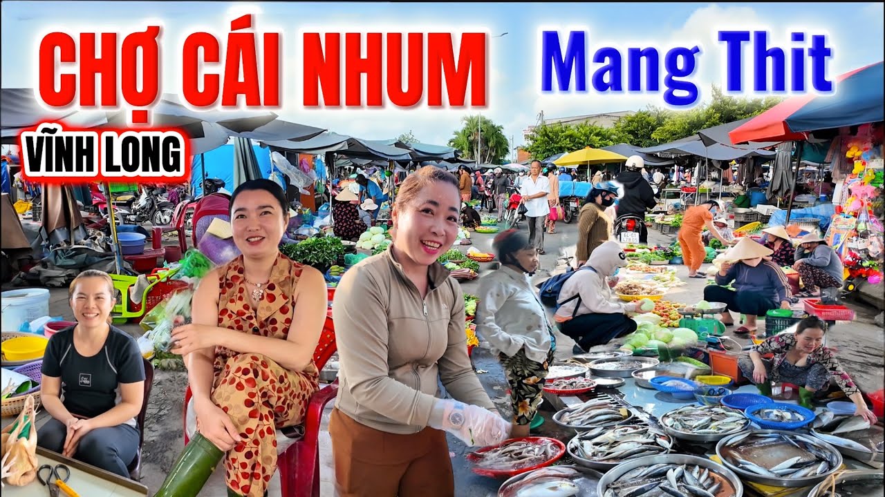 Thiên Đường Cá sông Ở CHỢ CÁI NHUM, MANG THIT, VĨNH LONG, Có Rất Nhiều Cá Ngon và Giá Rẻ