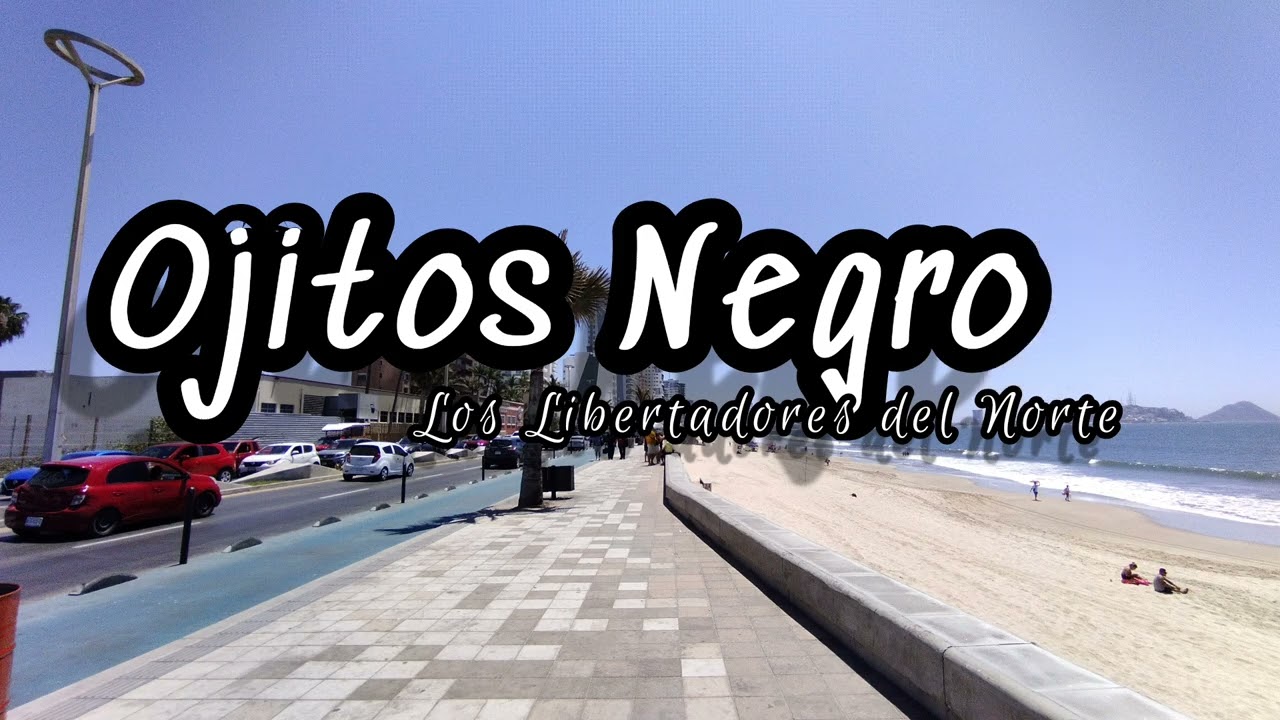 Ojitos Negros - Los Libertadores del Norte