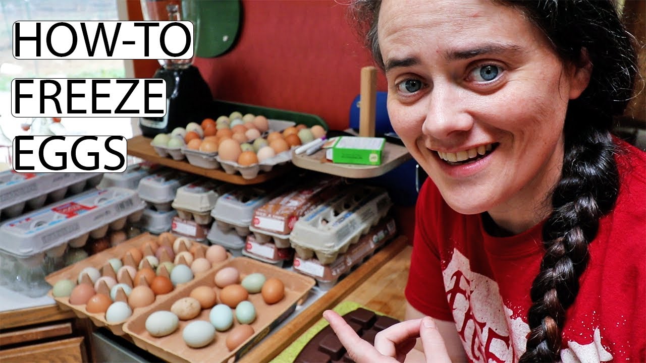 How-To Freeze Eggs Several Different Ways With a Taste Test | Fermented Homestead