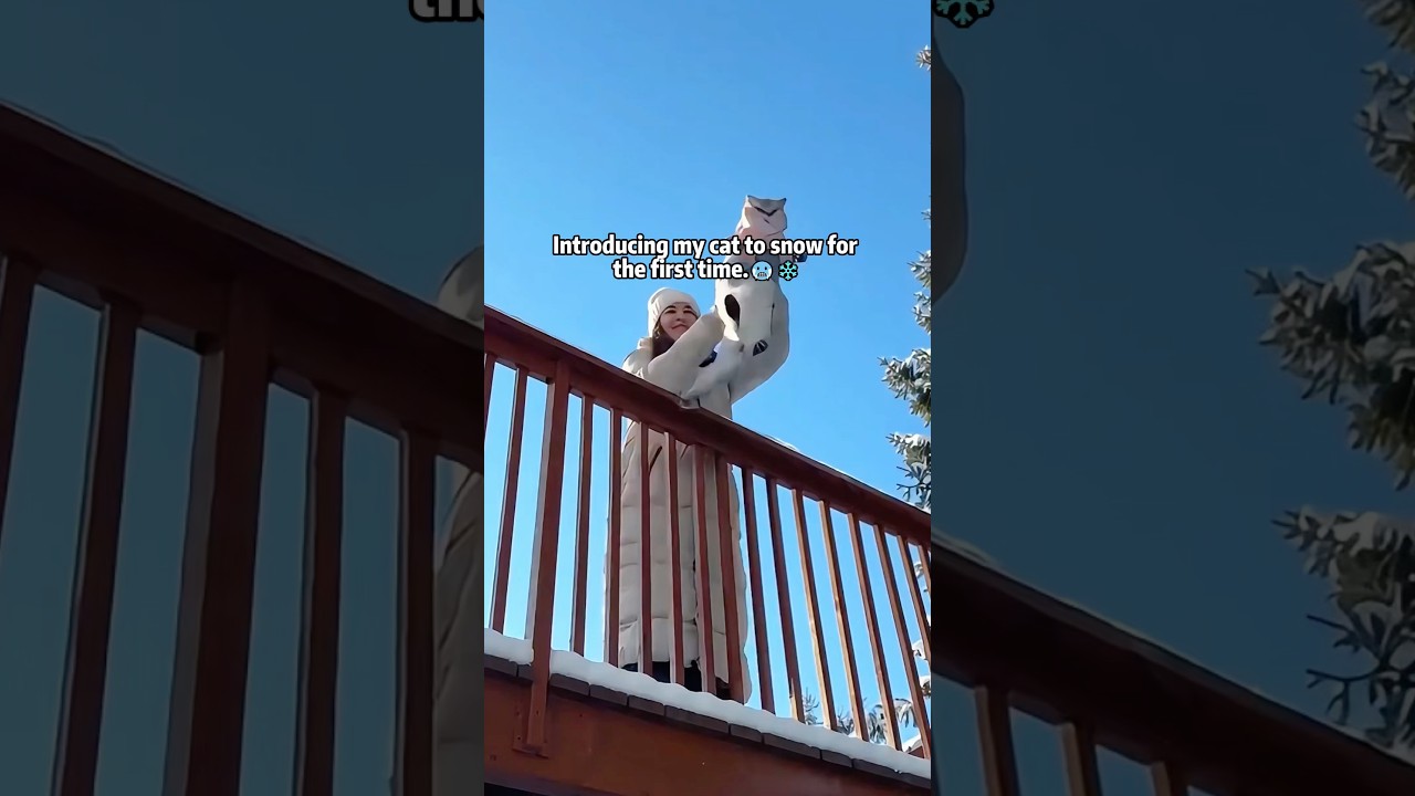 Introducing my cat to snow for the first time.#CatTok#FirstSnow#SnowDay#WinterVibes#PetTok#CuteCats