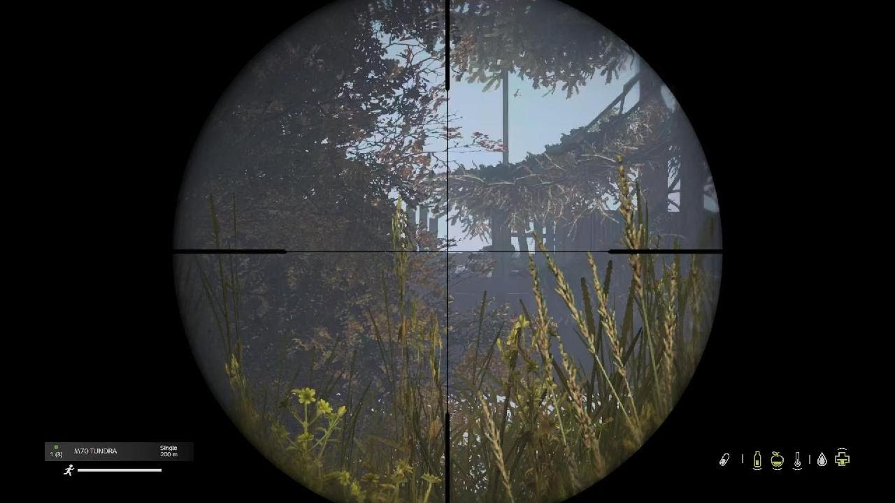DayZ_20260217142902