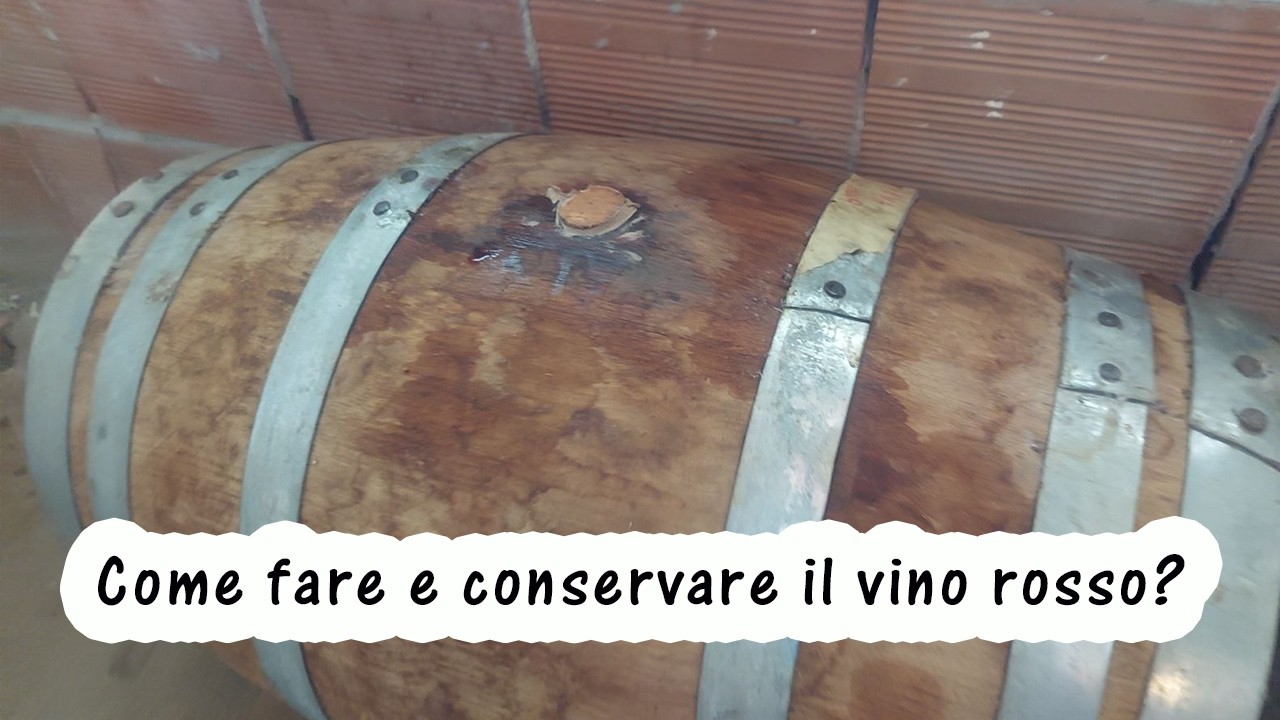Vino rosso fatto in casa: segui queste 10 regole per fare il vino artigianale (Volpagno)