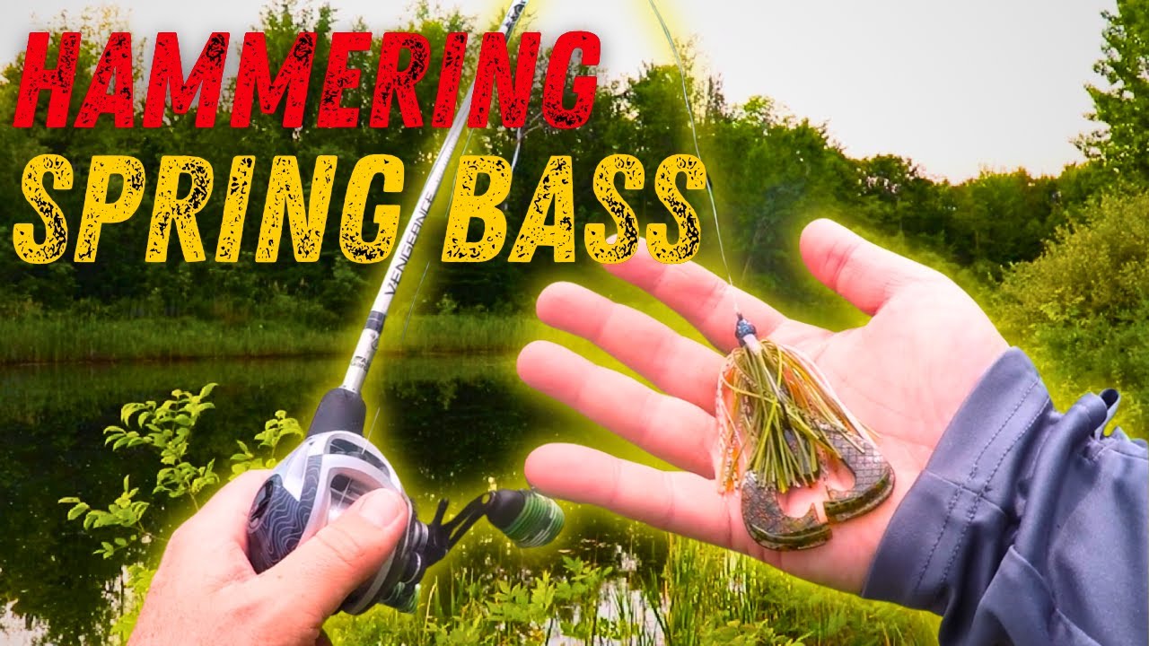 Spring Bank Fishing For Bass - Erie Canal