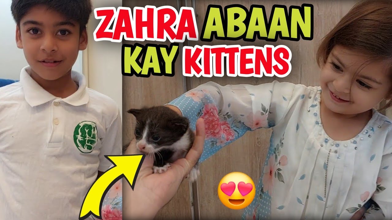 Zahra Aur Abaan K Cute Kittens 