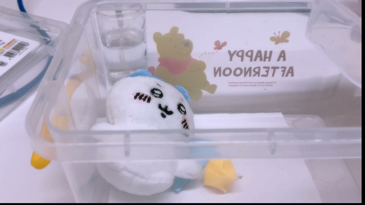 하치와레 일상