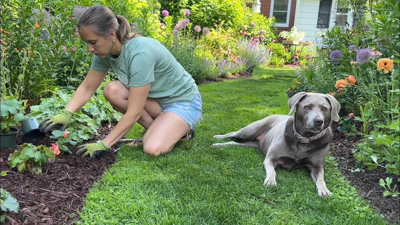 Planting a Moon Garden, Porch Patio Makeover, Peach Begonias, Peony Flower Stand, Garden Updates