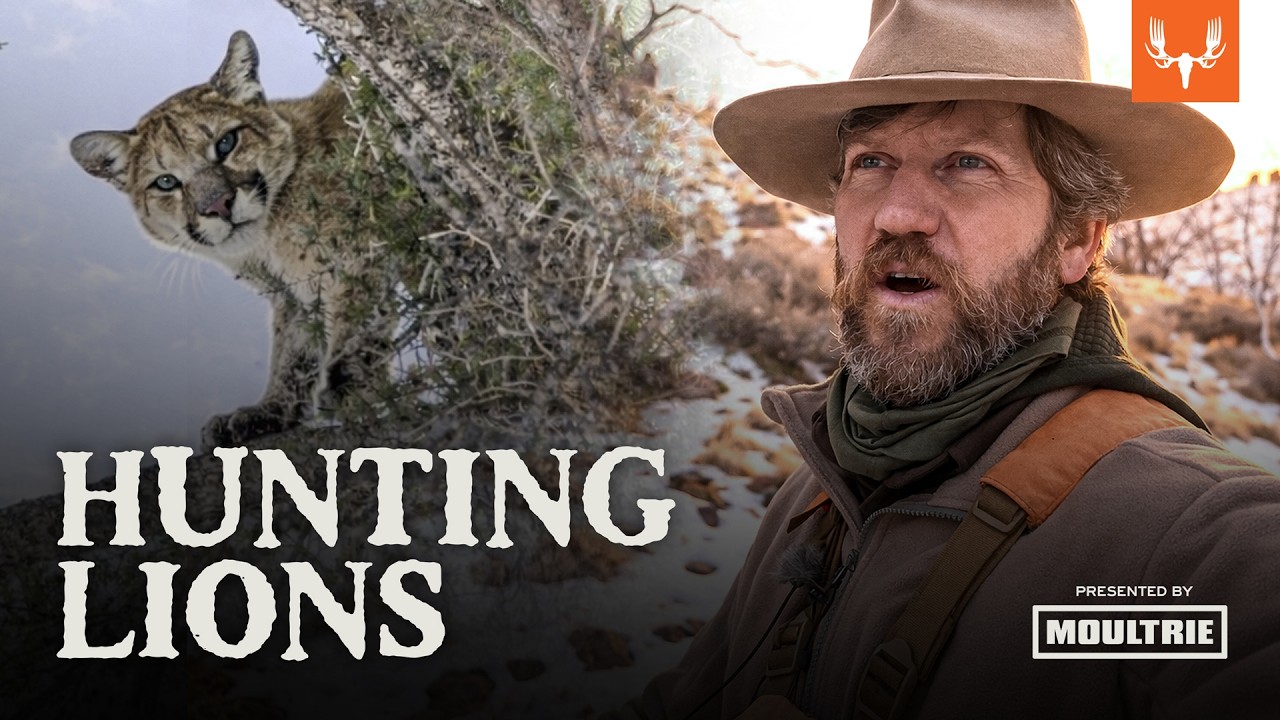 Hunting Mountain Lion with Mules and Hounds | MeatEater's 12 in '26