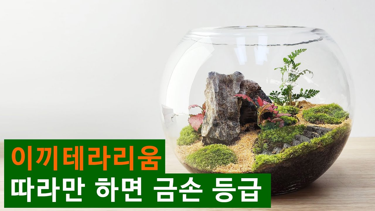 이끼 테라리움 따라만 하면 나도 전문가