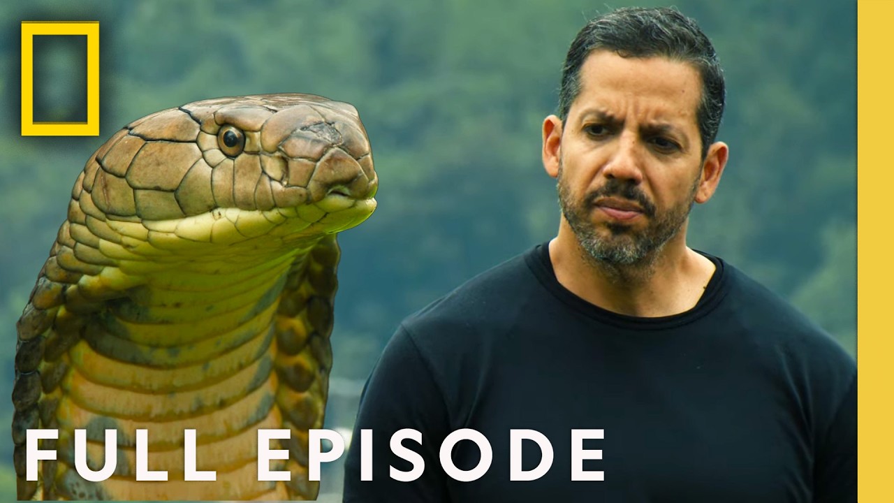 What's Freakier than Venom & Illusion? | David Blaine Do Not Attempt | FULL EPISODE | Nat Geo