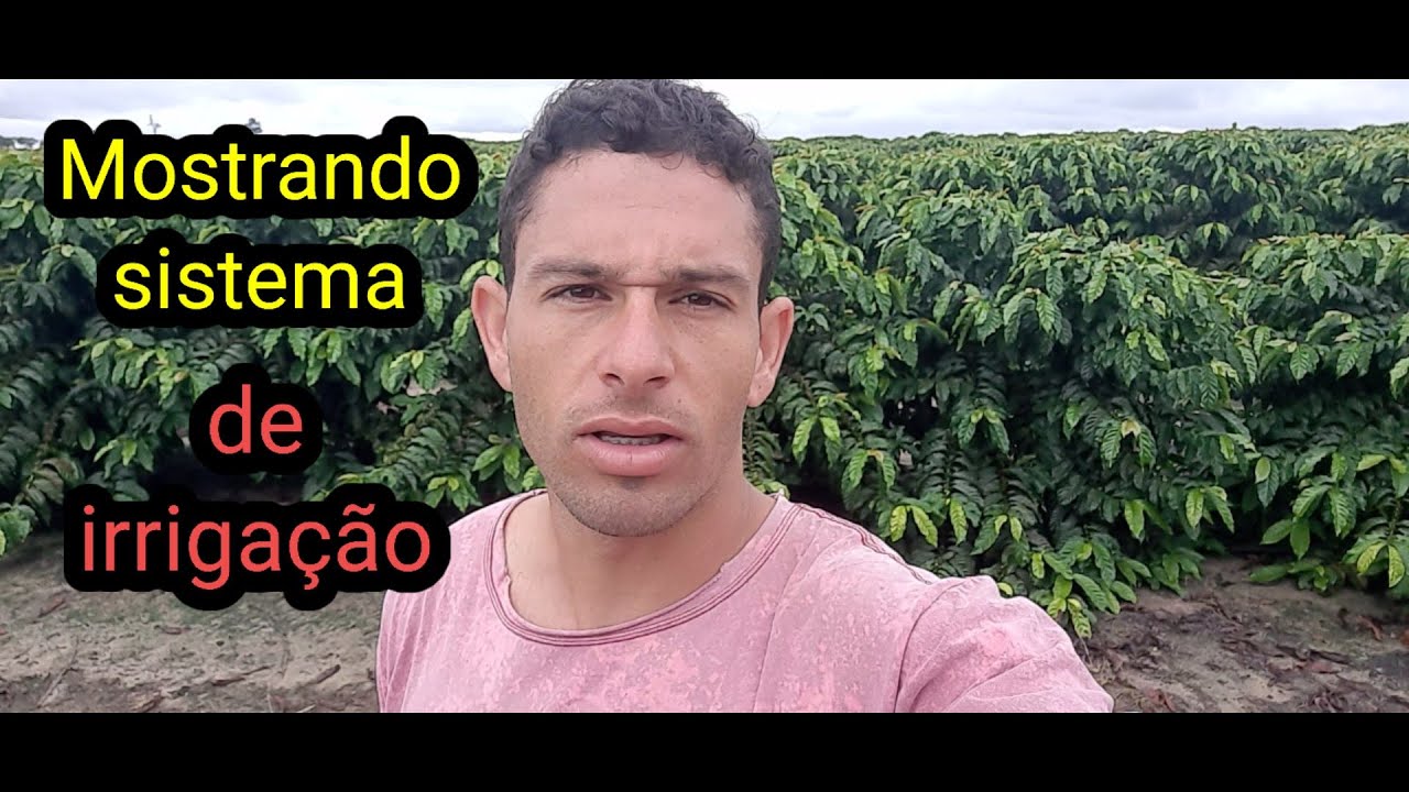 Mostrando sistema de irrigação
