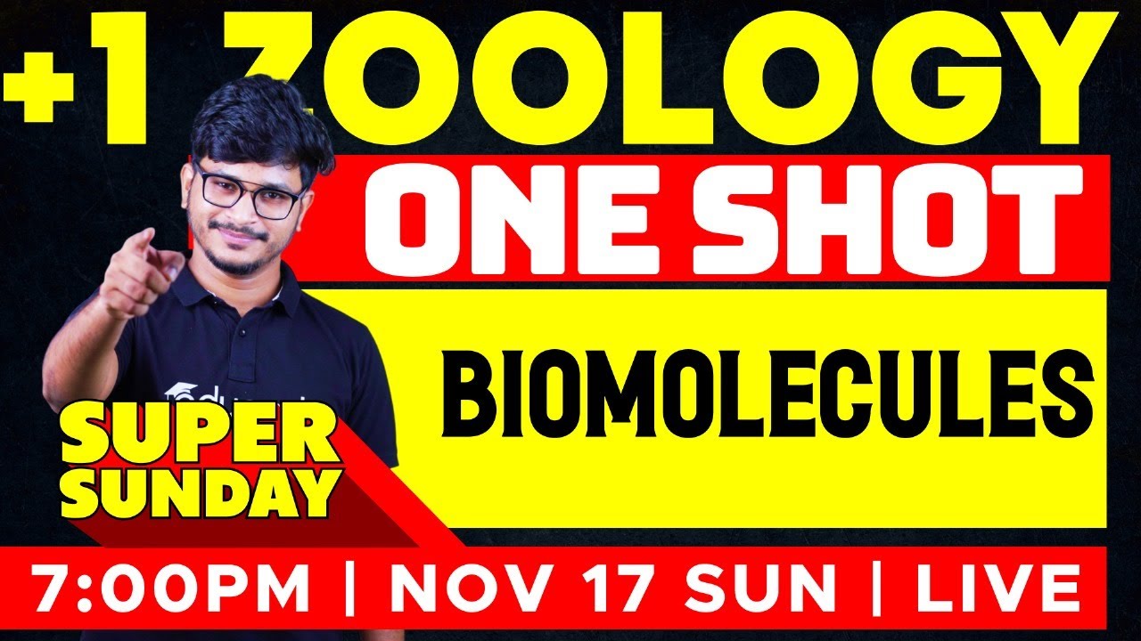 Plus One Zoology | 9. Biomolecules - One Shot | Eduport