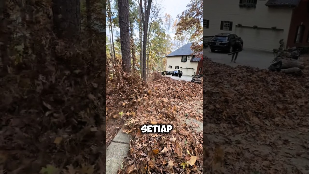 Amerika Saat Musim Gugur…