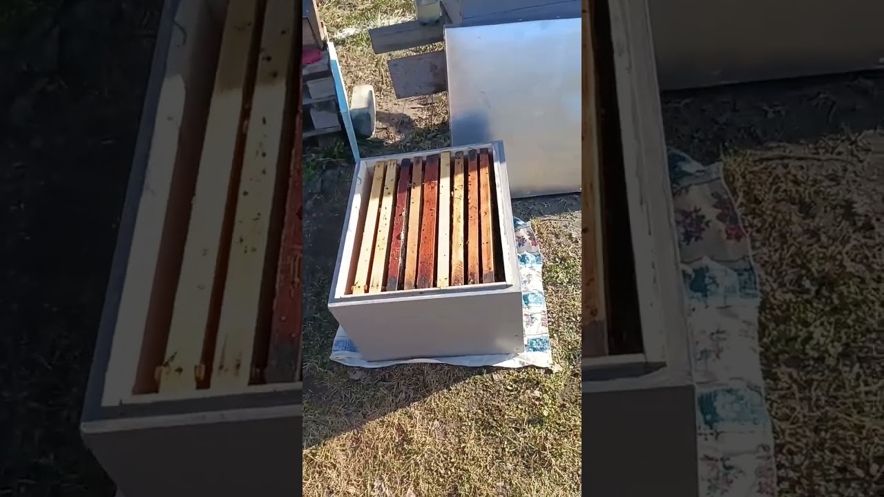 Мій перший корпусний десятирамочник!