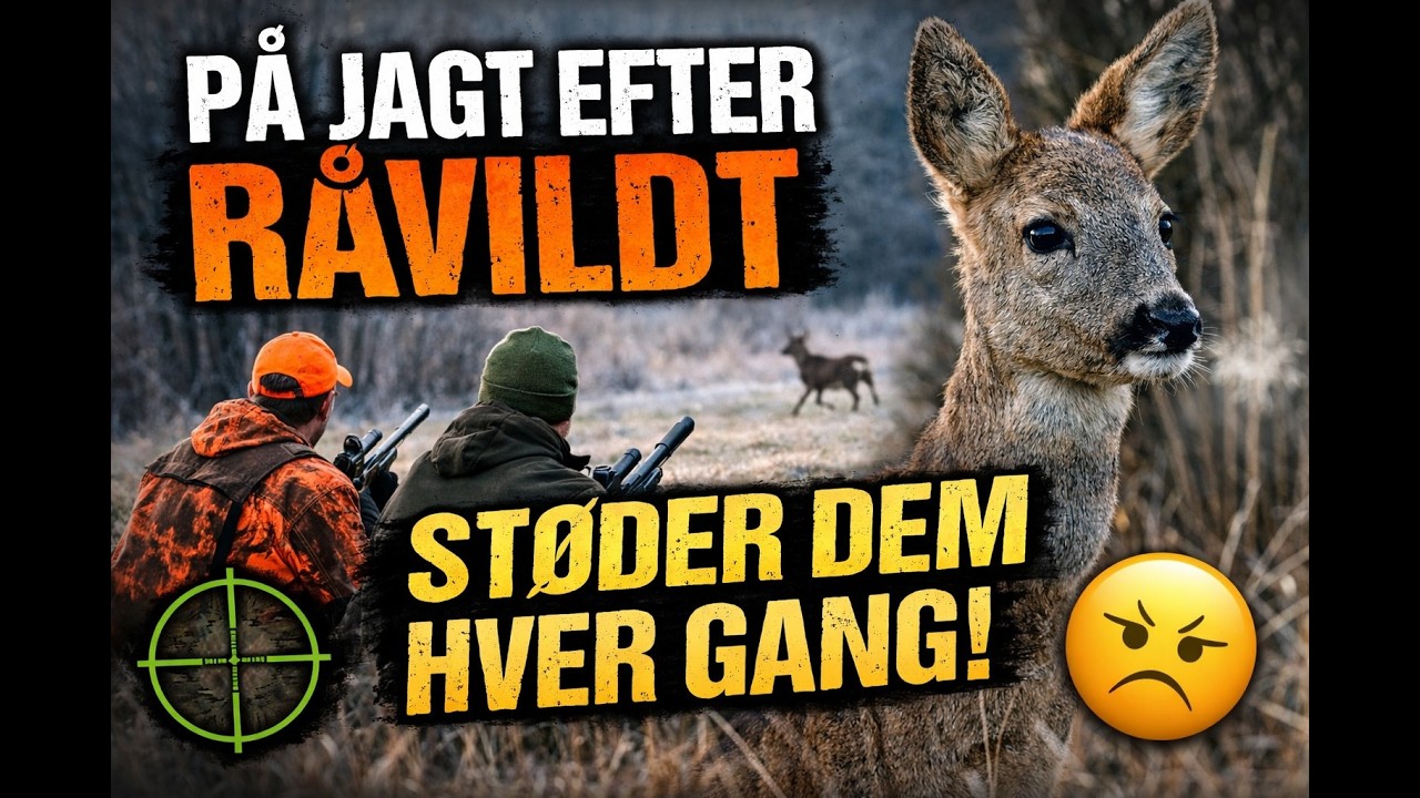 råvildt jagt afslutning 31/1-2026