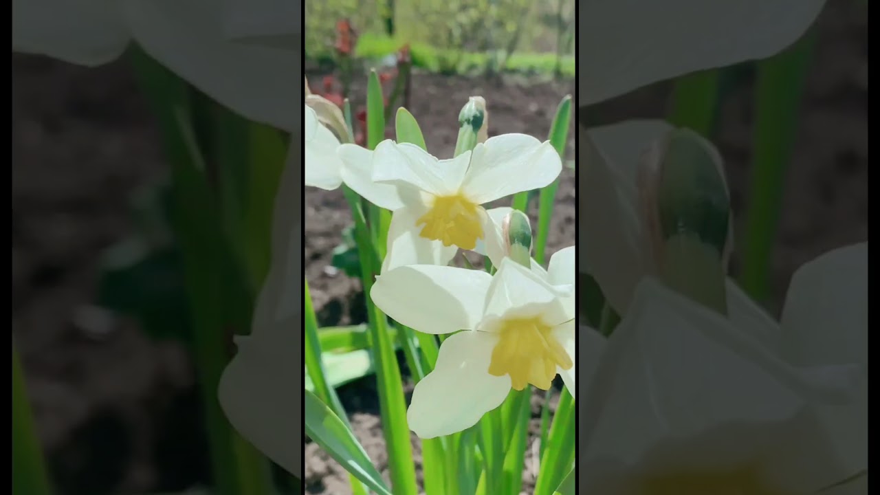 #springstories #kehidupandidesa #livingineurope #moldova