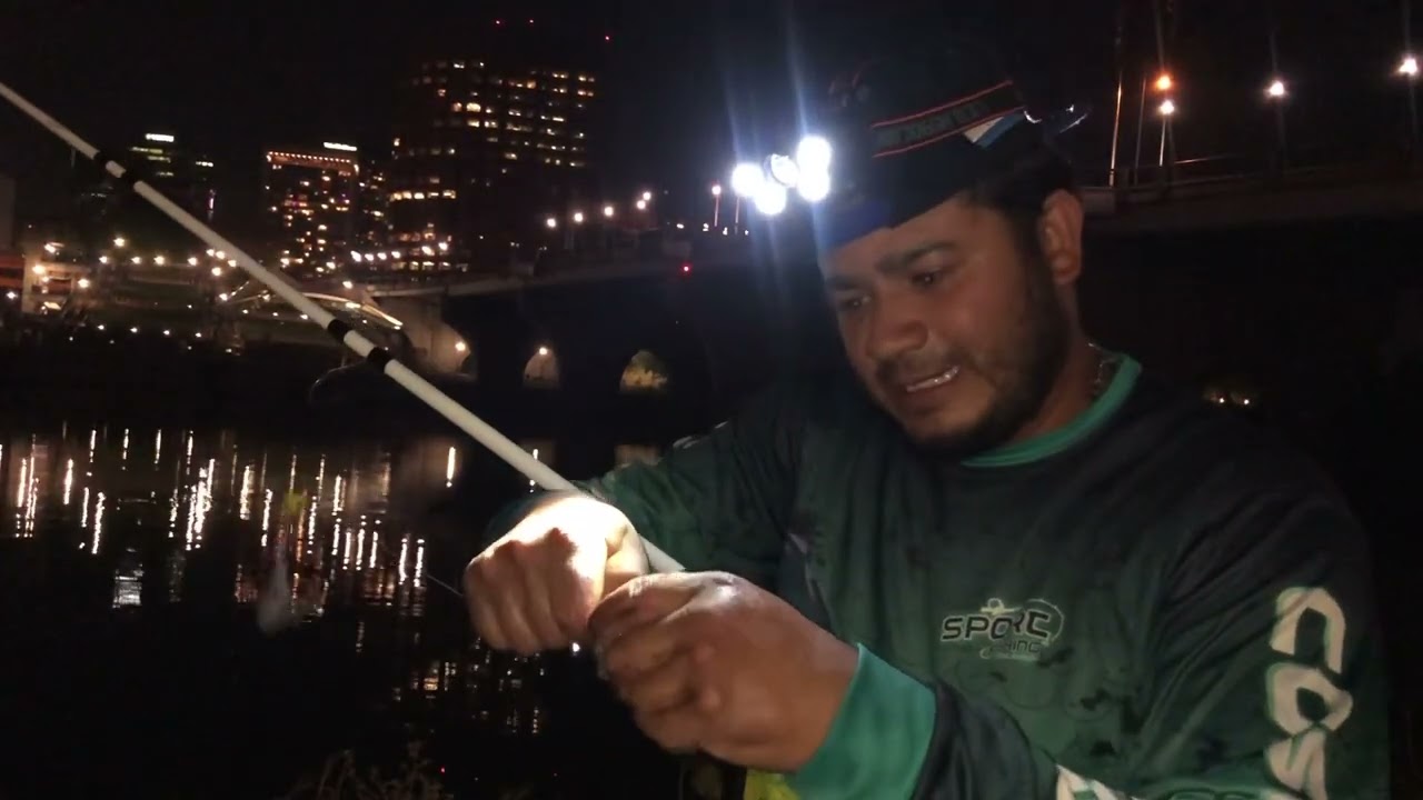 Pesca de cat fish.   En Río Connecticut En nuevo lugar