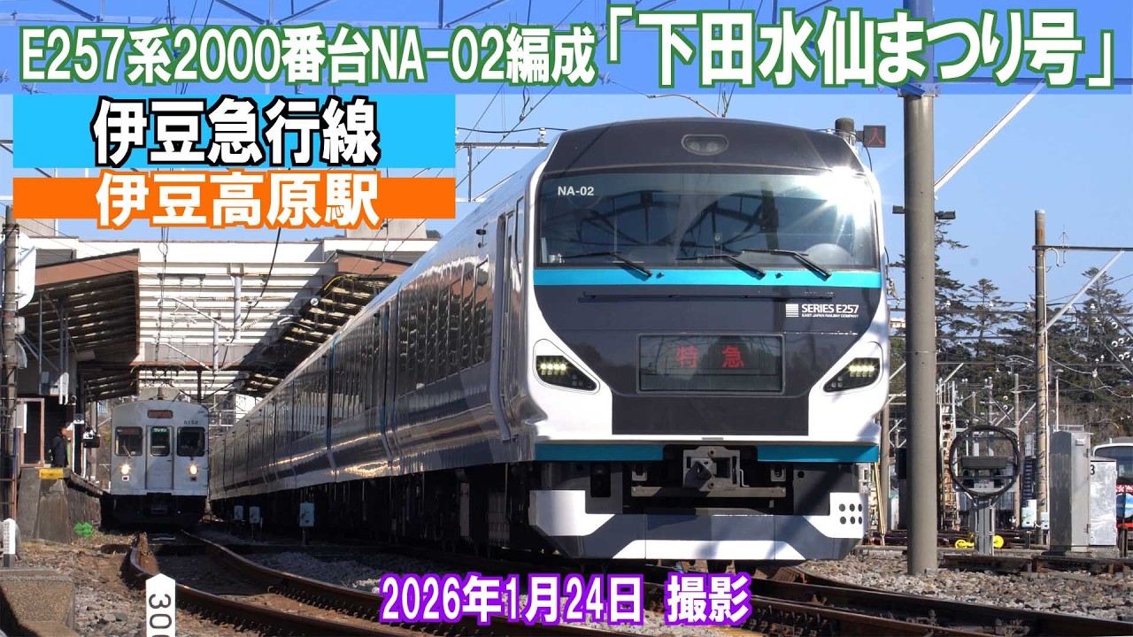 特急「下田水仙まつり号」E257系2000番NA-02