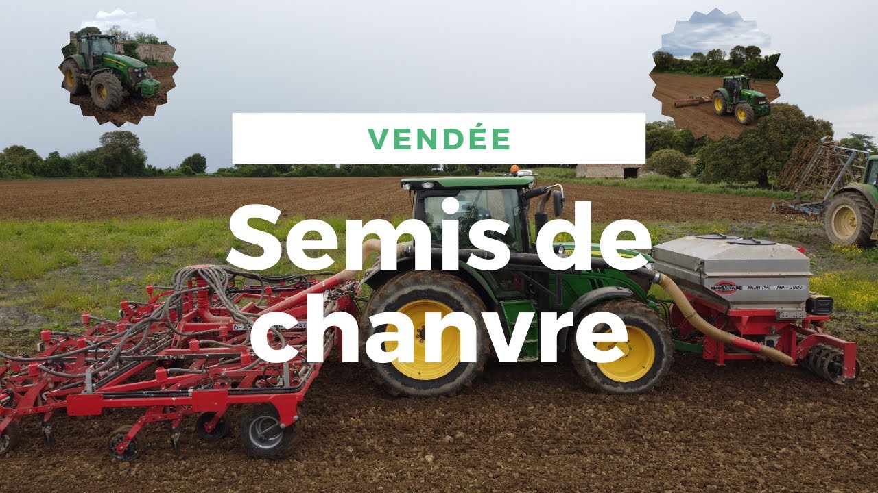 Semis de chanvre sur le littoral Vend&eacute;en