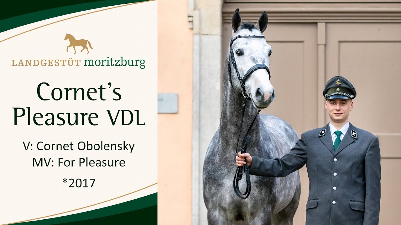 CORNET'S PLEASURE VDL v. Cornet Obolensky - For Pleasure