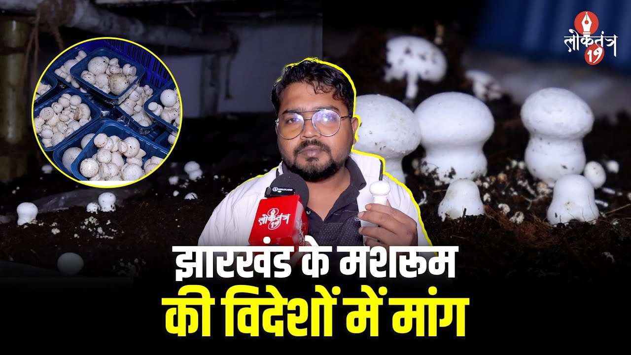 झारखंड का ये आदमी, जिसकी मशरूम खेती की चर्चा विदेशों तक