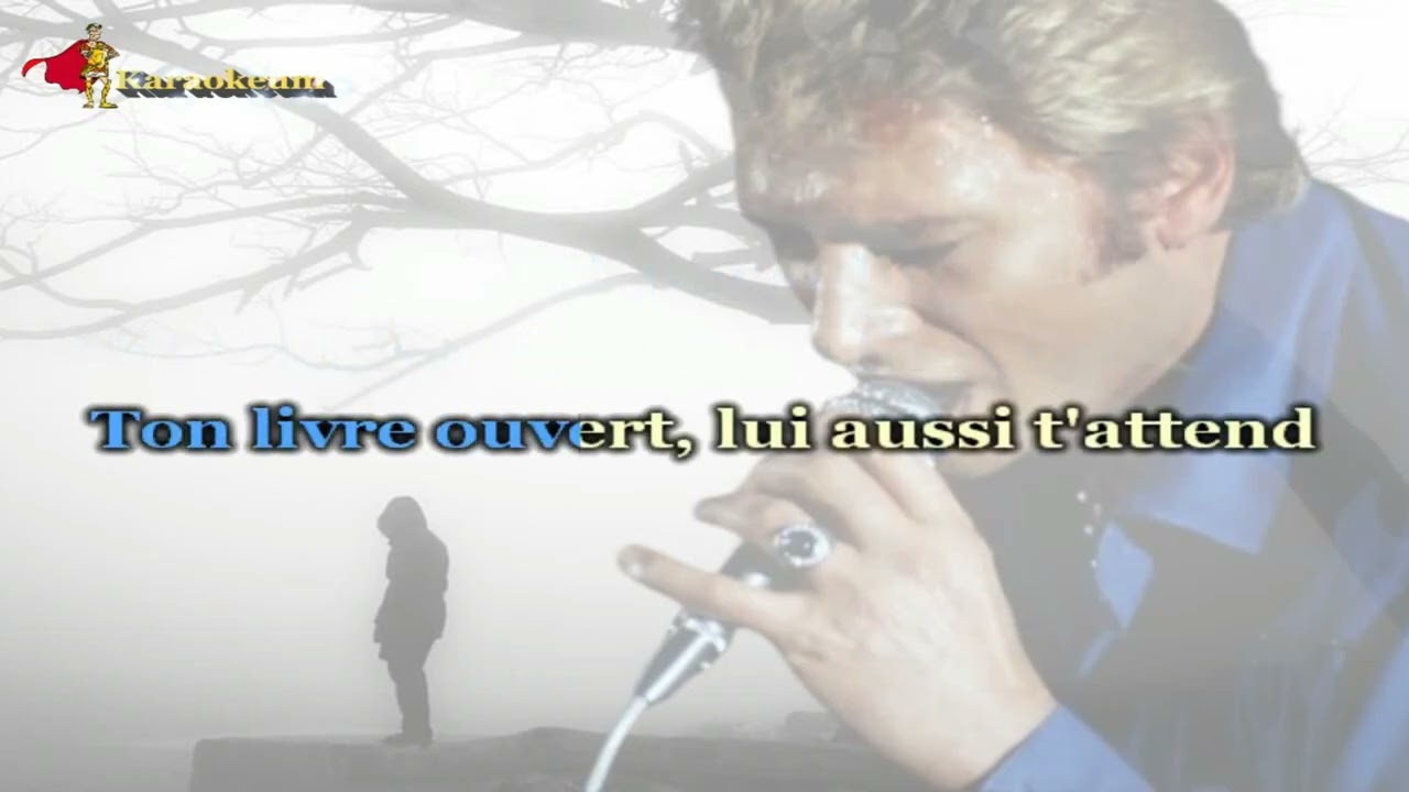 Johnny Hallyday - Revoilà ma solitude  [Karaoke]