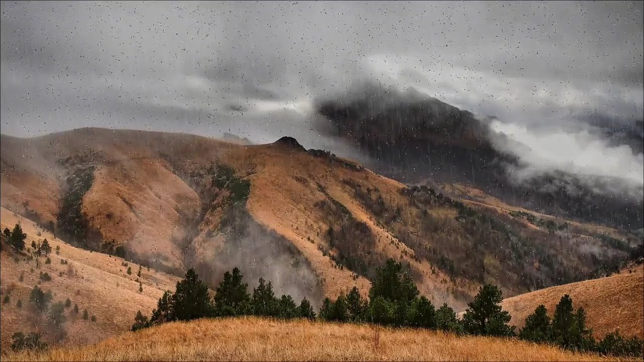 2 Hours of Relaxing Rain | Stress Relief, Sleep & Study