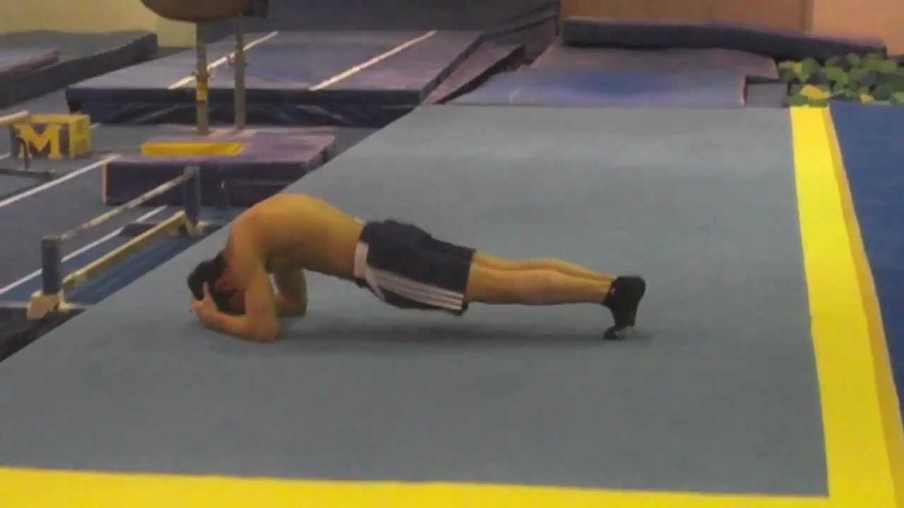 University of Michigans Men's Gymnastics: Class of 2015
