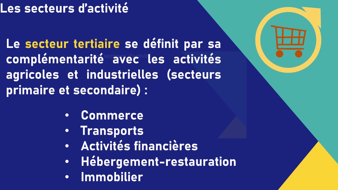 Les secteurs d'activités et les branches professionnelles