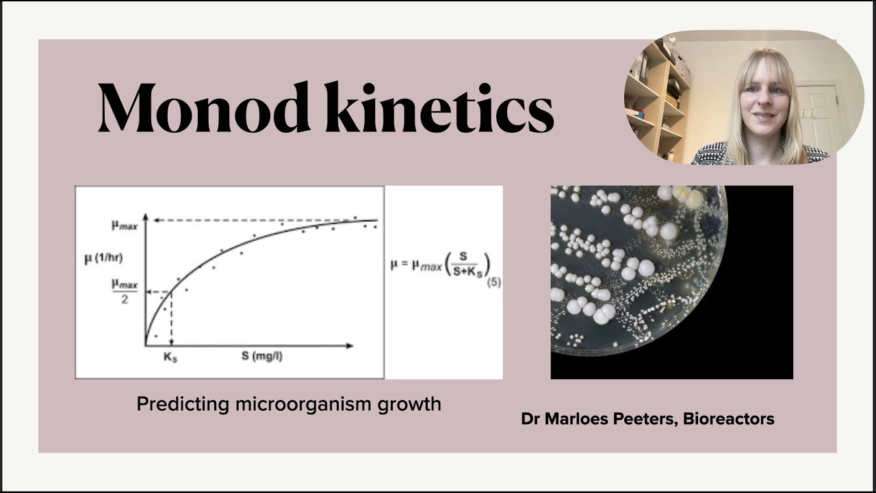 Monod kinetics to determine microorganism in bioreactors