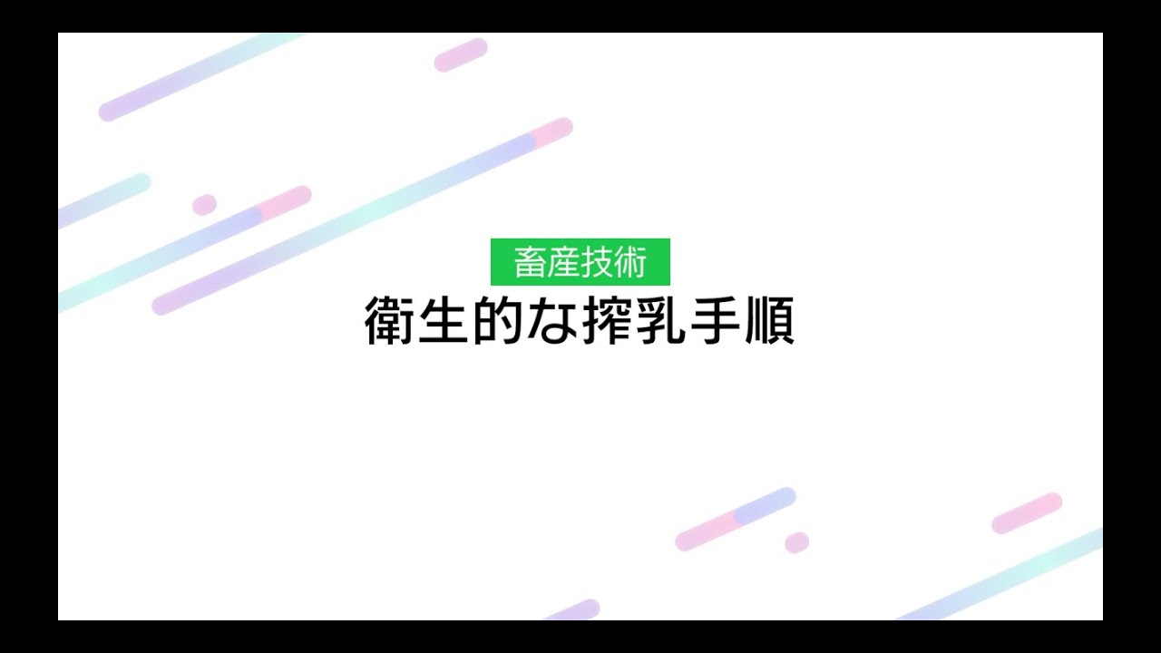 衛生的な搾乳手順