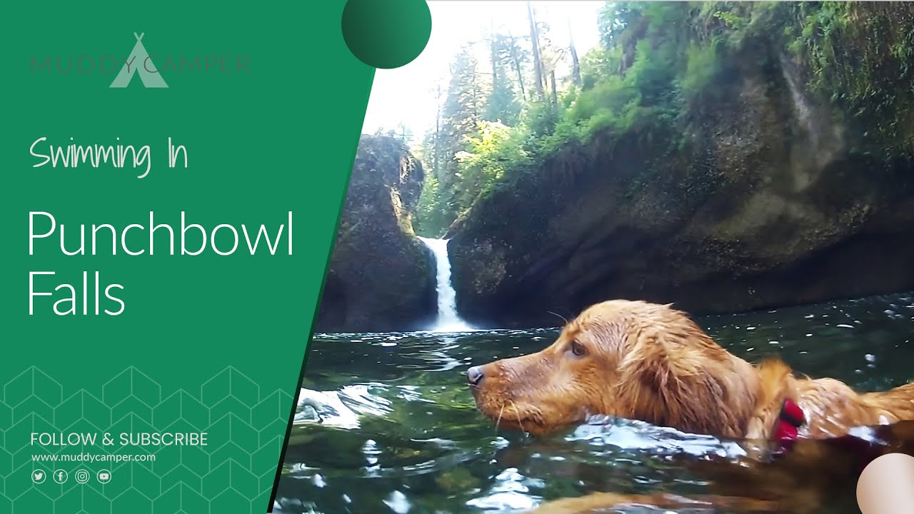Swimming in Punchbowl Falls, Eagle Creek - Oregon