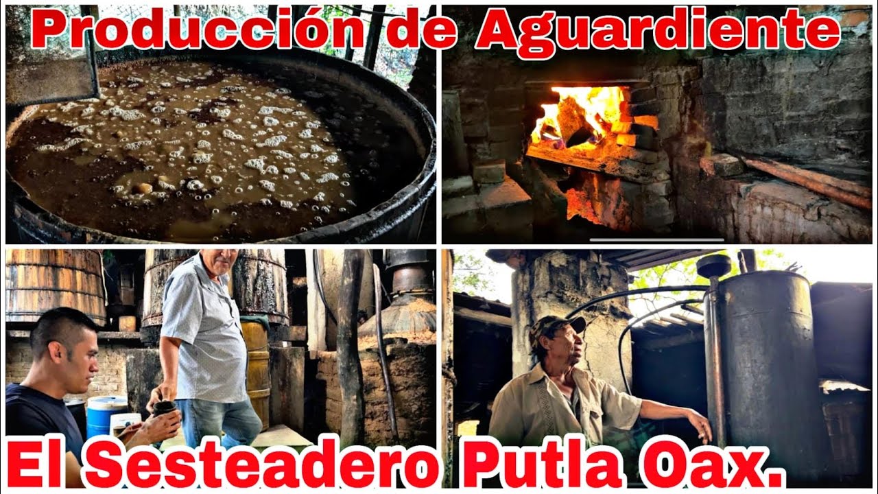 Así Se Produce El Aguardiente En Oaxaca