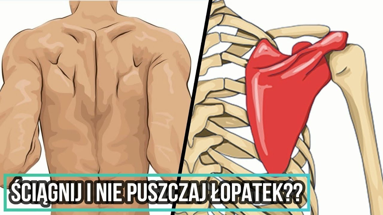 Retrakcja i depresja łopatek - czasem szkodzi! [Zdrowe barki]