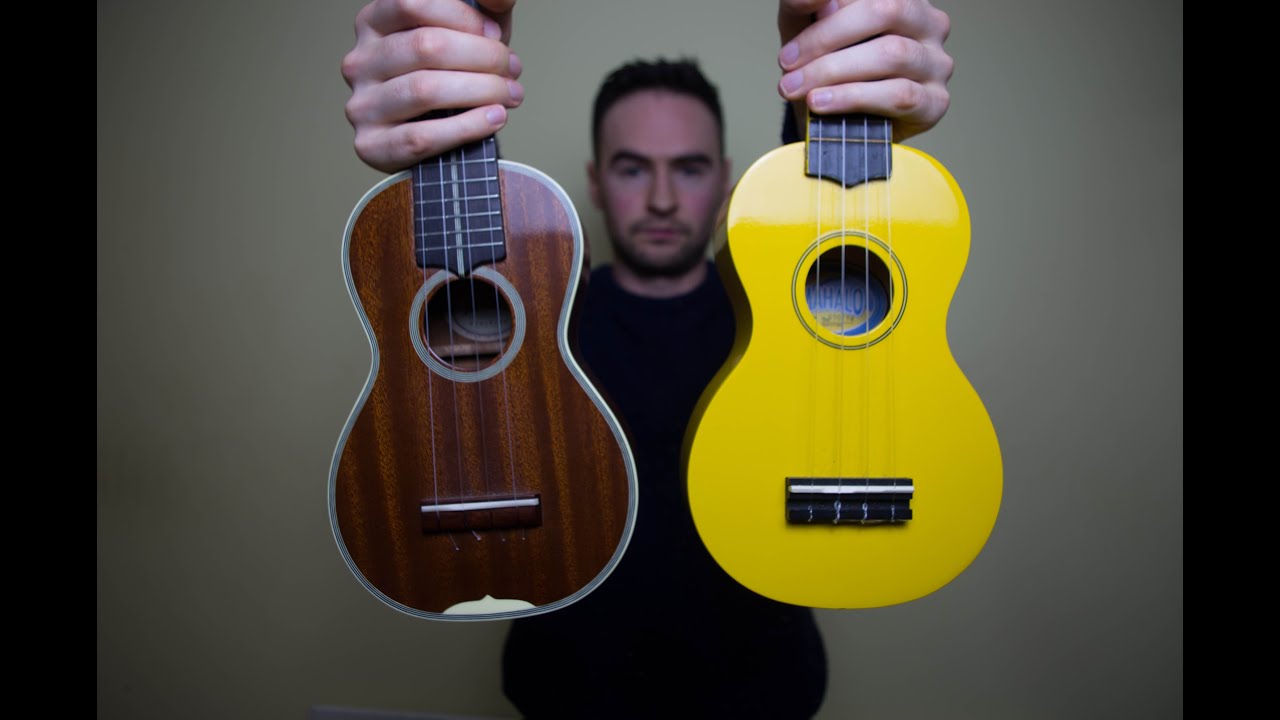 $20 Ukulele vs $1000 Ukulele Comparison