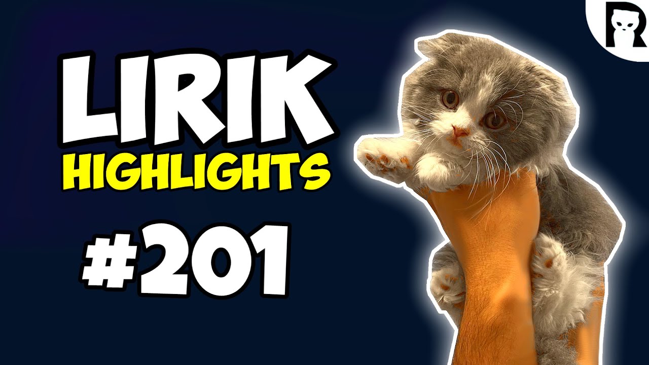Мой новый котенок - Lirik Highlights #201