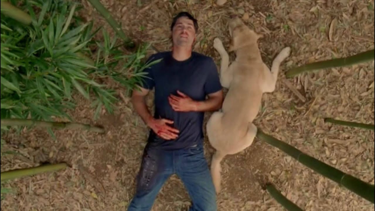 Lost Unofficial Soundtrack: 6x17 ''The End'': Last Scene (Moving On)