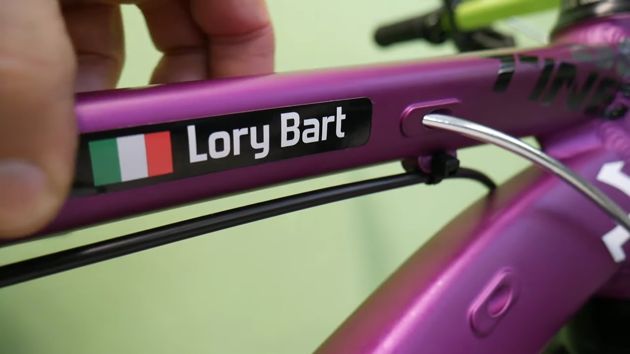 10 COSE DA FARE PER NON FARSI RUBARE LA BICI