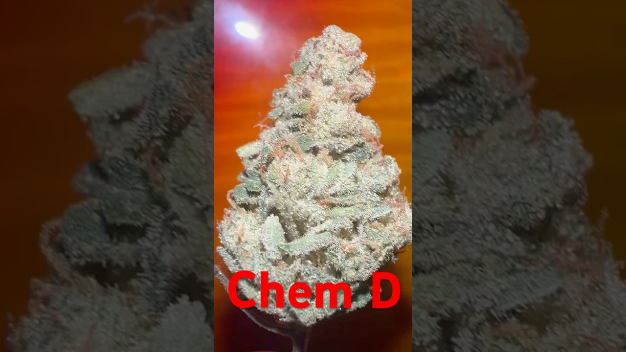 Chem D review (Piffanomics)
