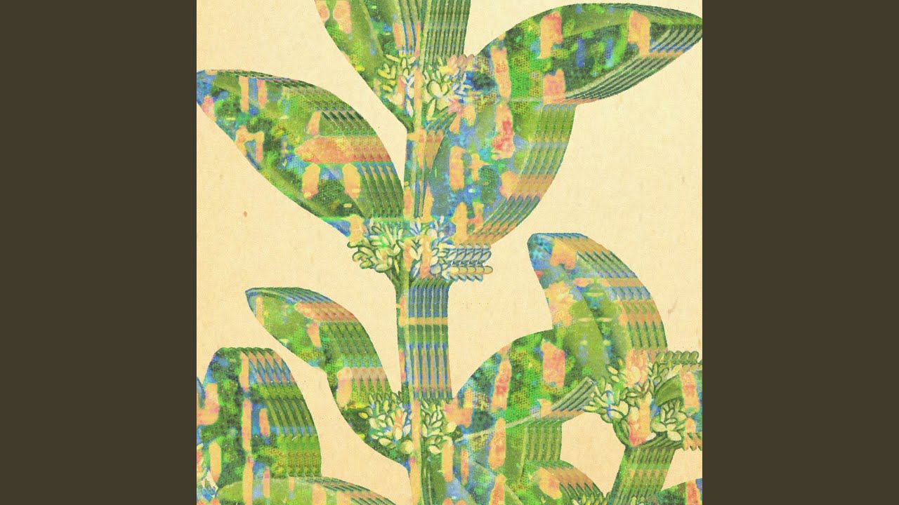 Sprouting Dicots