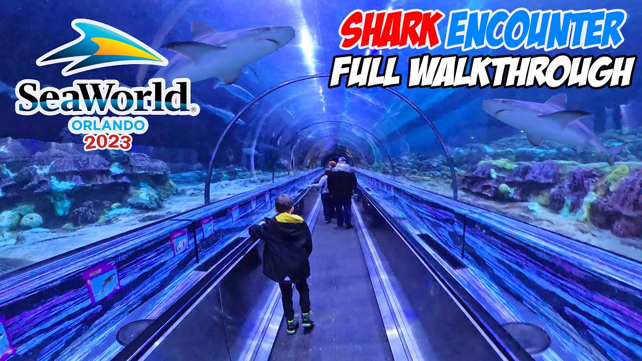 Shark Encounter Full Walkthrough SeaWorld Orlando (March 2023) [4K]