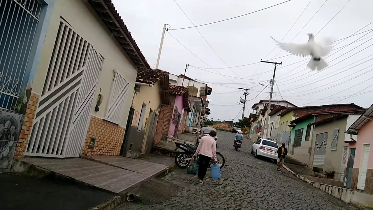 Ibicuí terra do são João