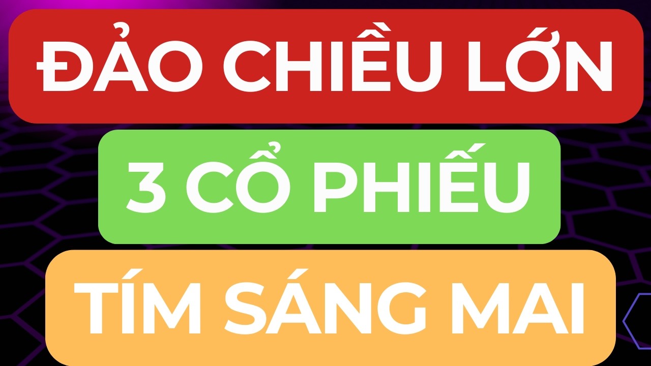 🔴 ĐẢO CHIỀU LỚN I 3 CỔ PHIẾU TÍM SÁNG MAI I RŨ BỎ HOÀN TẤT