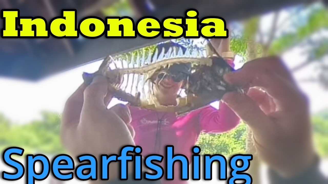 Spearfishing in Indonesia! Will we catch anything?