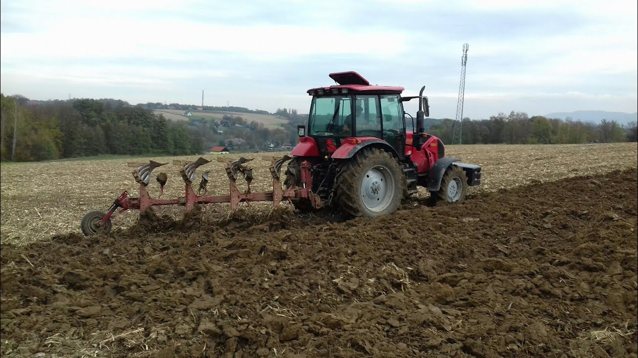 Jesienna orka! MTZ Belarus 1523.3 & Niemeyer Delta